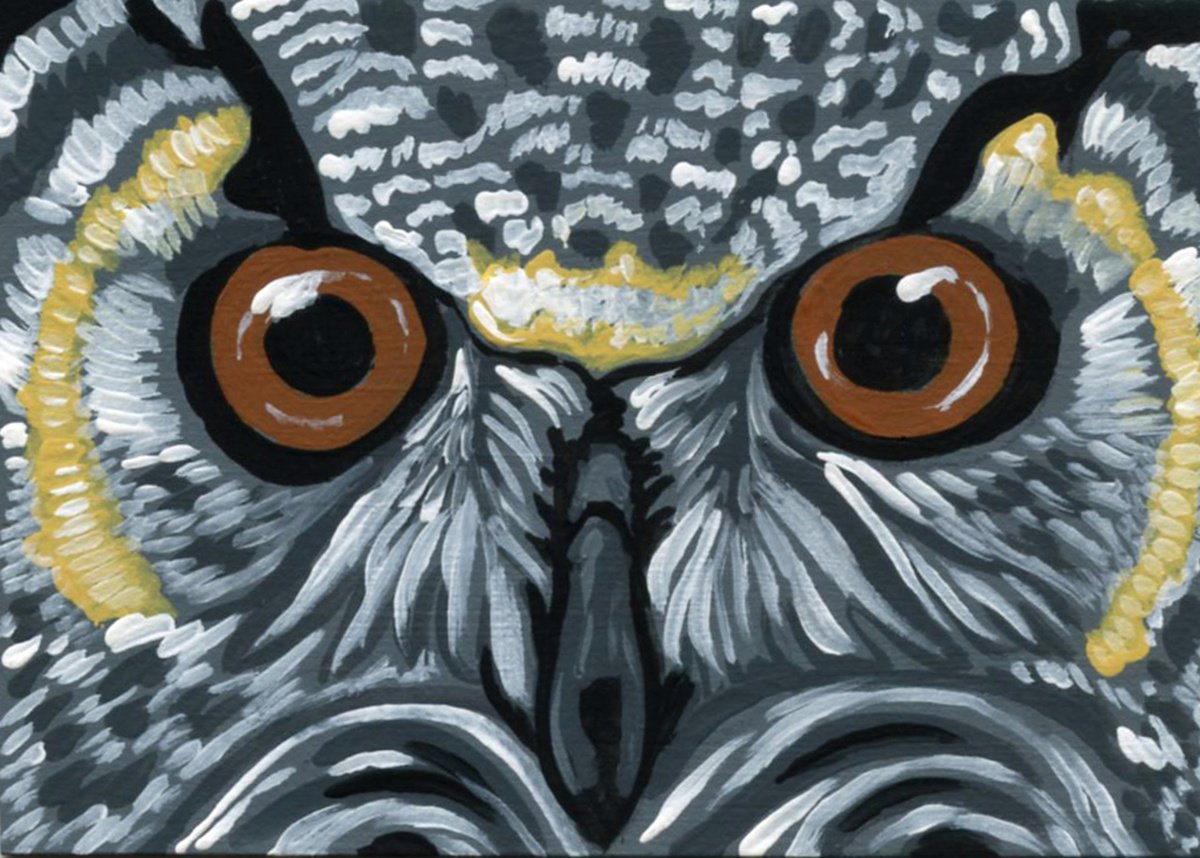 Owl Bird by Carla Smale