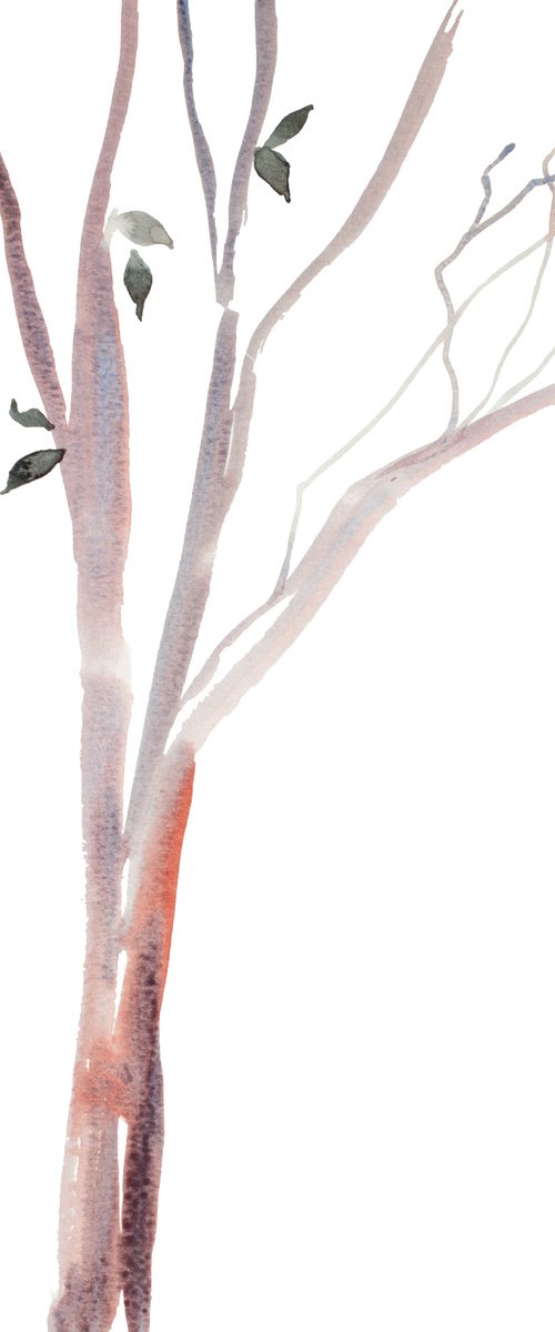 Tree Study No. 34 by Elizabeth Becker