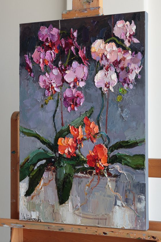 Orchids in Bloom