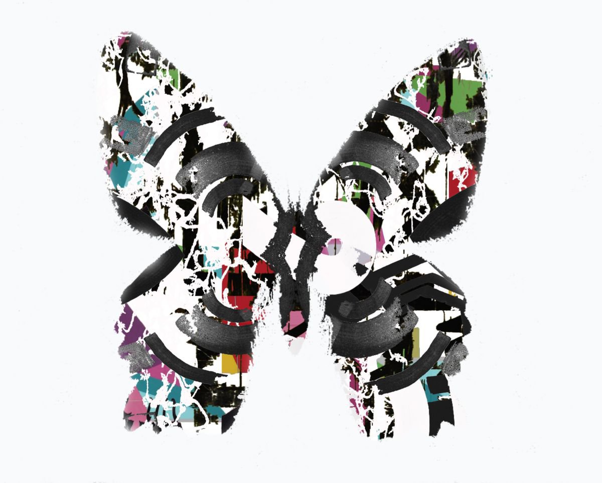 butterfly no 1 by The Most Active