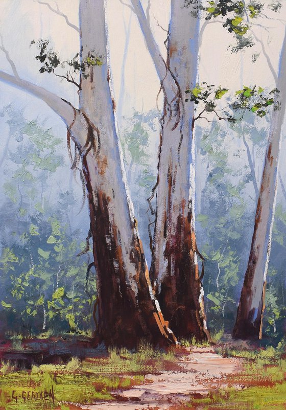 Bush Gum Trees Australia