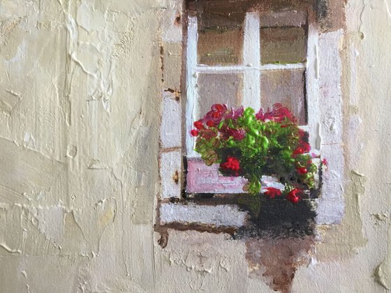 Shutters and Flowers