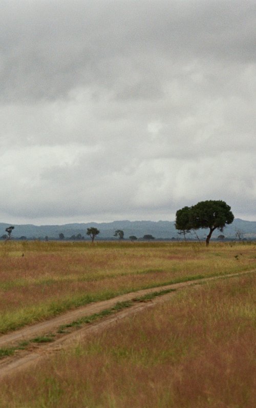 Tanzania's road by Anastassia Markovskaya