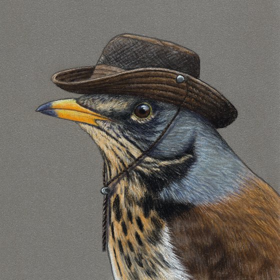 Original pastel drawing bird "Fieldfare"