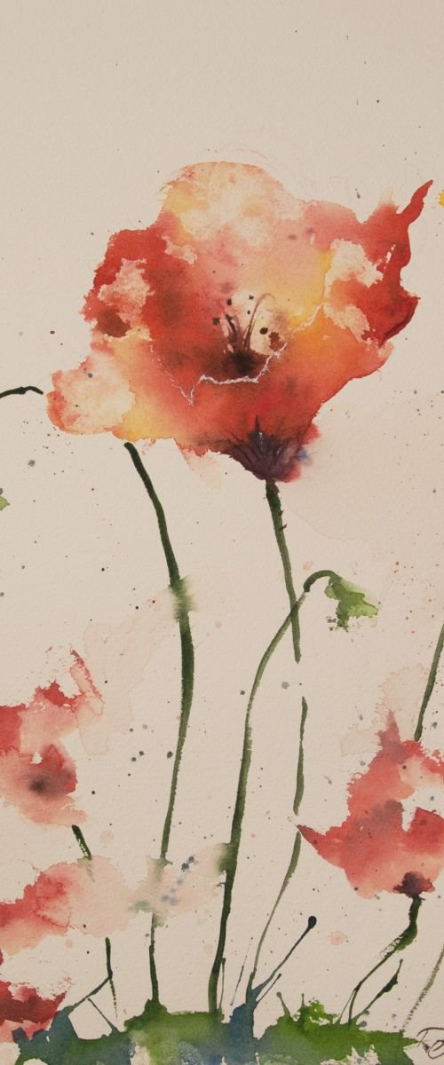 Poppies by Tomasz Mikutel