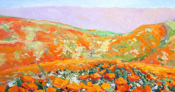 California Poppy In the Wild, Superbloom in the Mountains