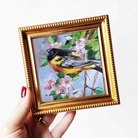 Audubon bird