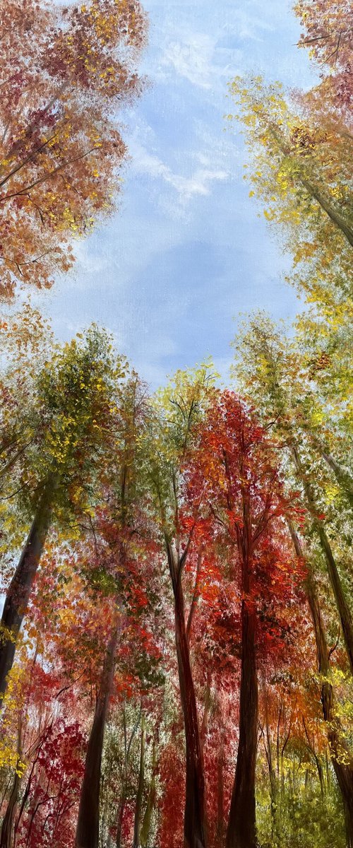 Autumn Reverie: Upward Vision by Tanja Frost