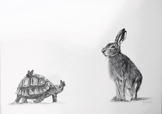 The tortoise and the hare