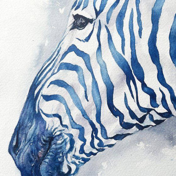 Blue Silence_Zebra