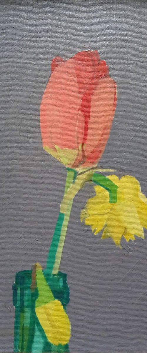 Daffodil & Tulip by Kenneth Hay