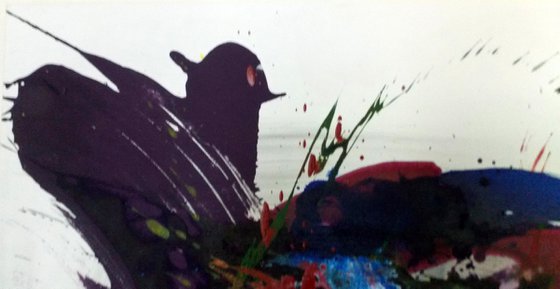 THE FREENZY OF COLOURS