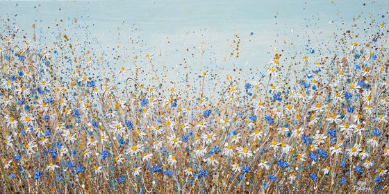 Daisies in September