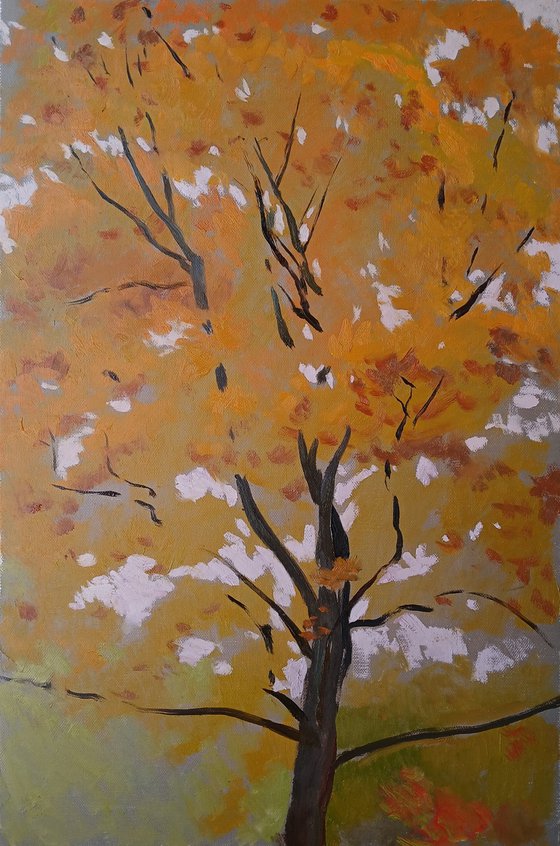 Leaves of October