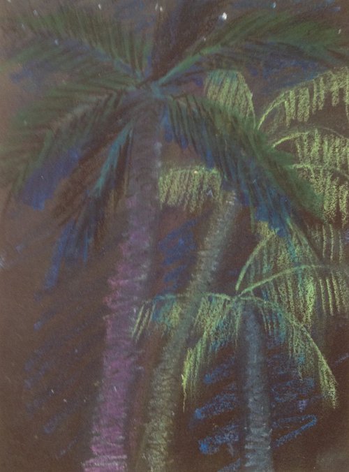 Moonlit Palms, Bali 2 by David Lloyd