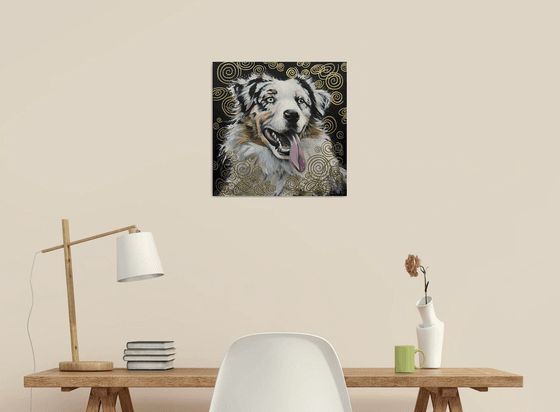 Australian shepherd