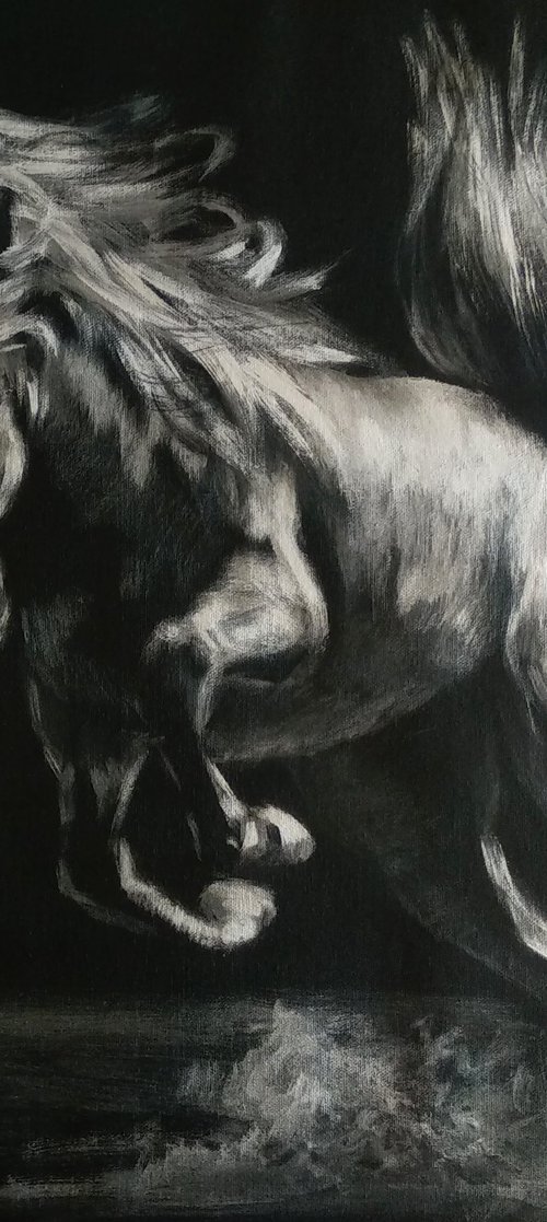 Pure Wild Energy by Anastasia Art Line