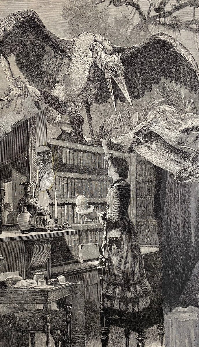 Surrealistic Portrait Collage By Tudor Evans, 7 X 11", Large Bird In The Library, Original Artwork