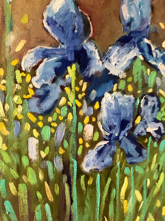 Irises flowers