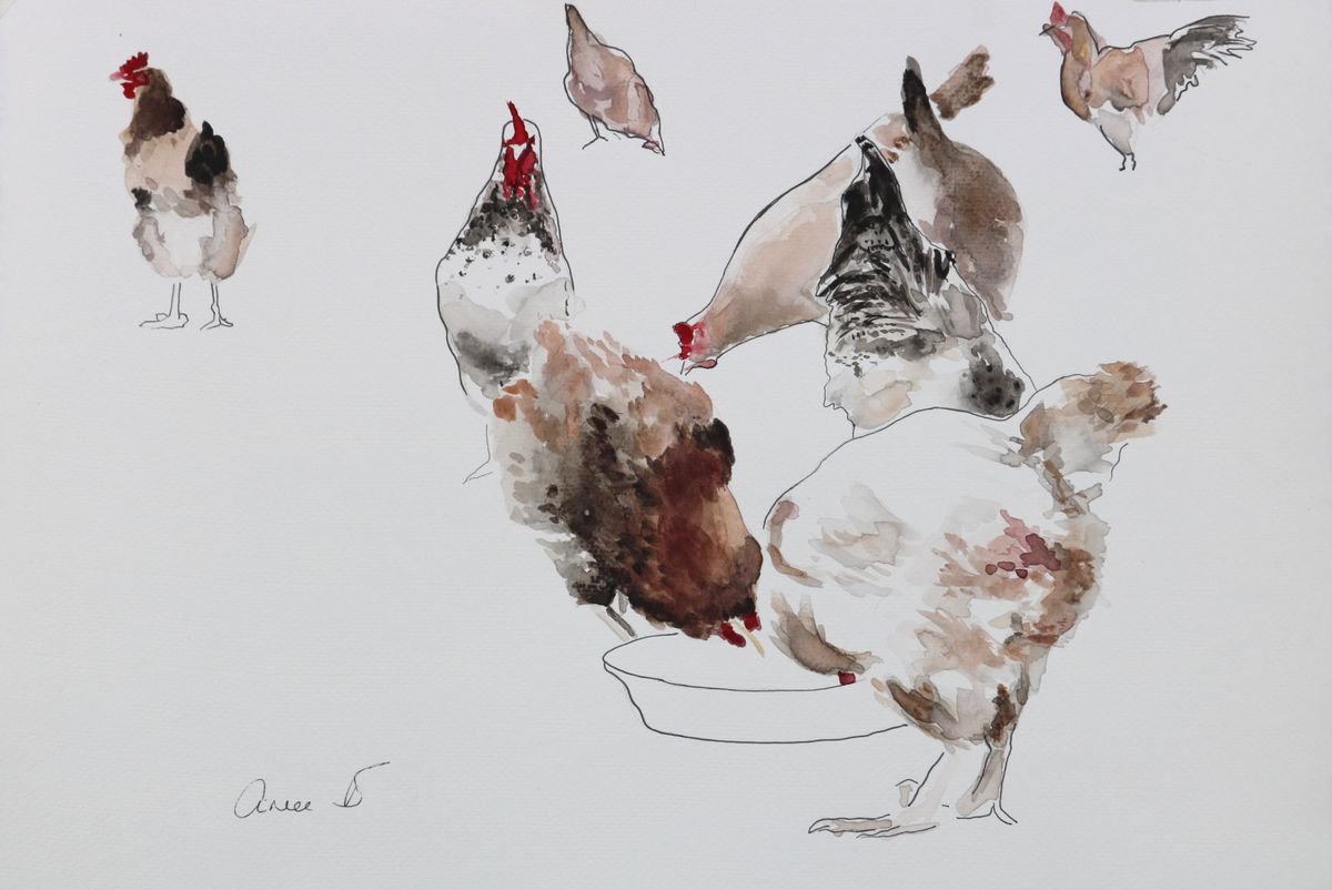 Hens in the Coop by Aimee Del Valle