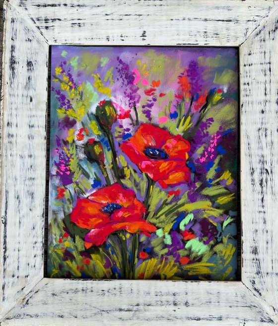 Red poppies