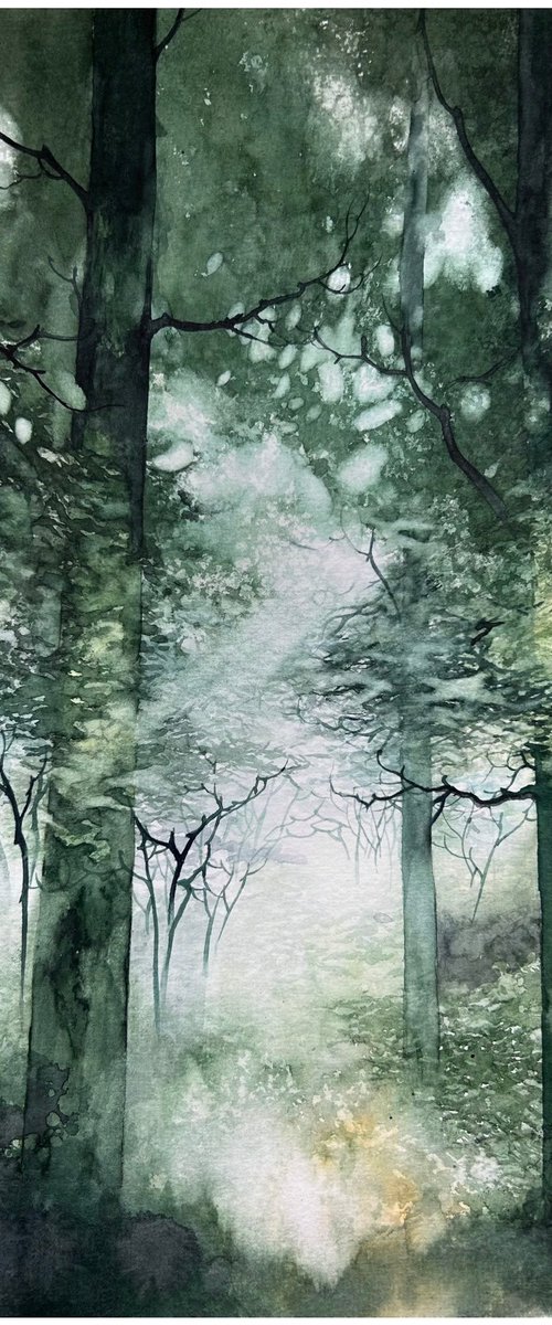 Forest Morning Mist by Nazar Grunyka