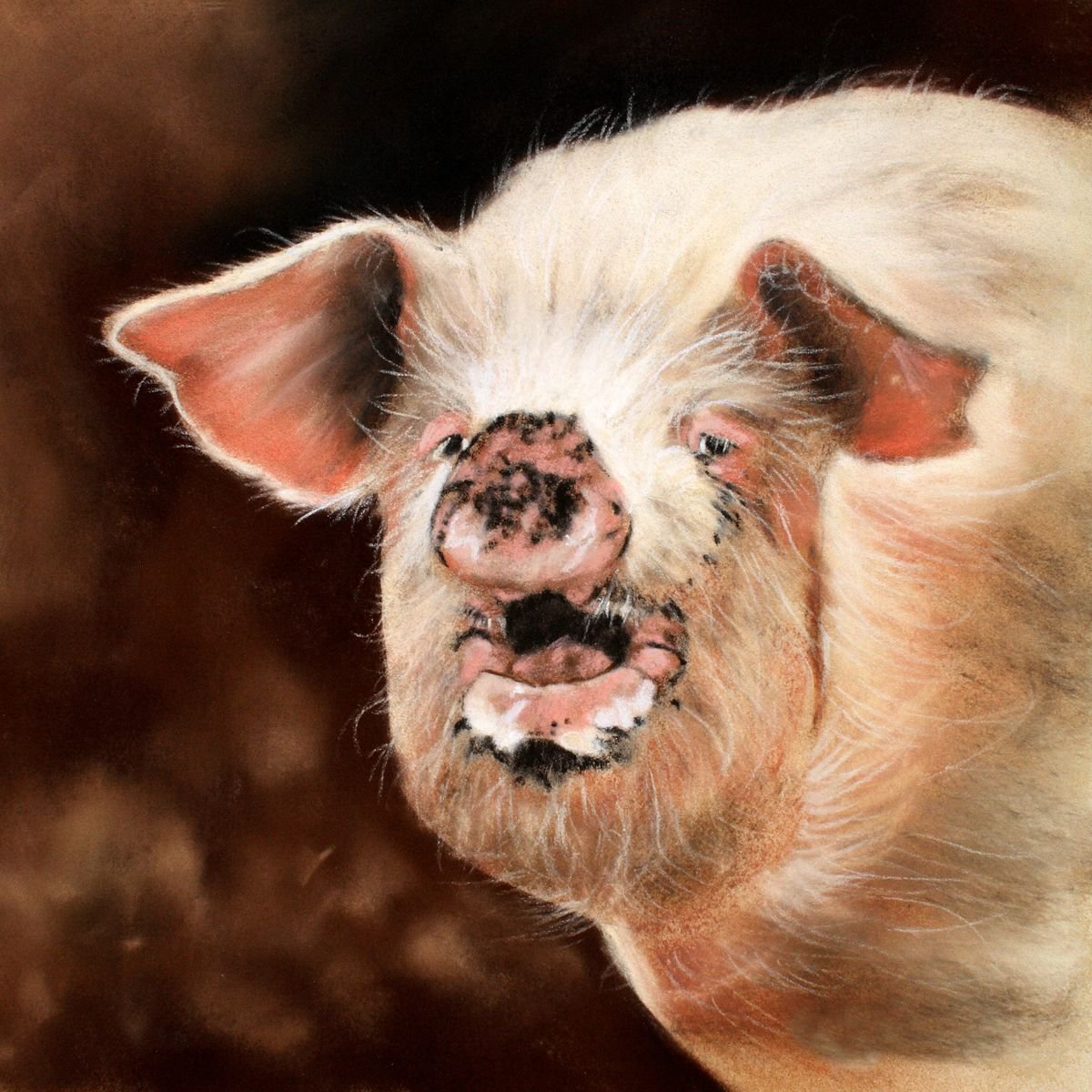 Pig by Brian Halton