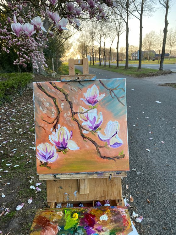 Dutch Magnolia