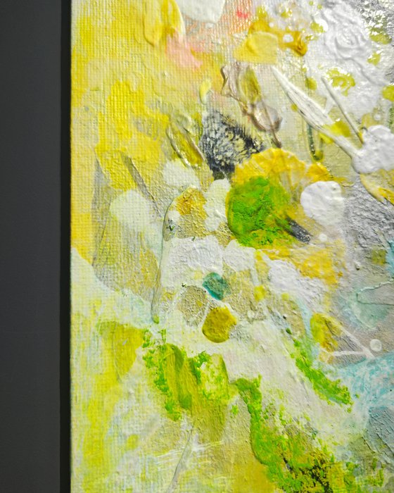 Tender Springlight N°2