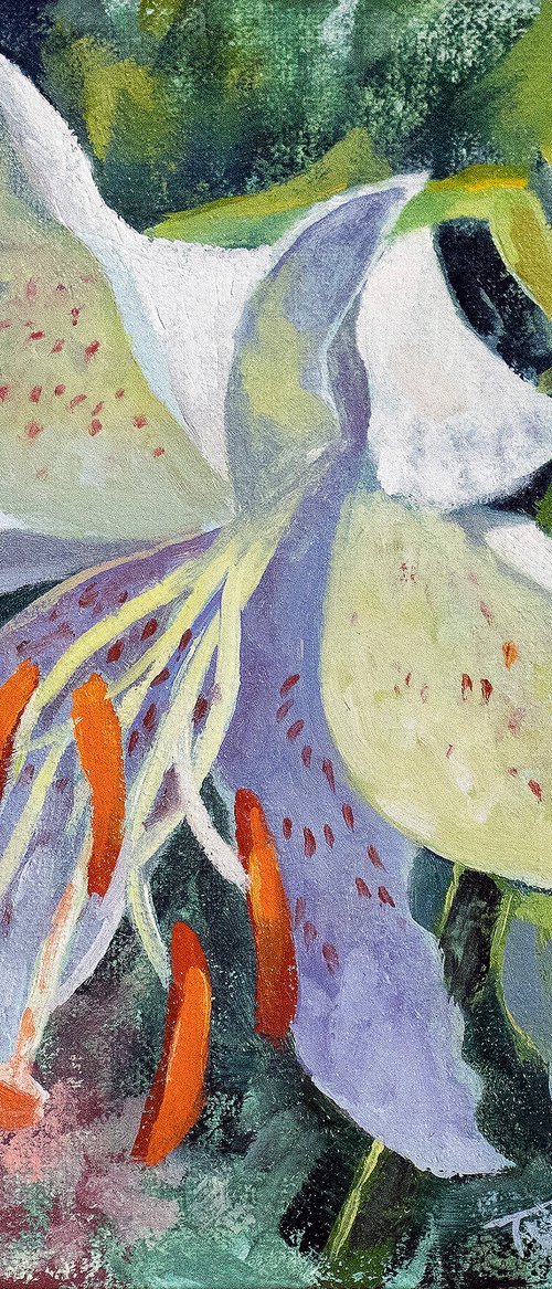 Asiatic Lily White by Catherine Twomey