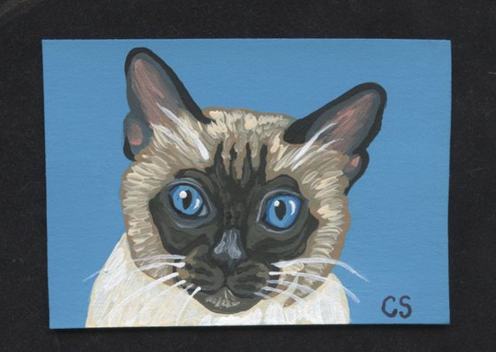 ACEO ATC Original Painting Siamese Cat Pet Art-Carla Smale