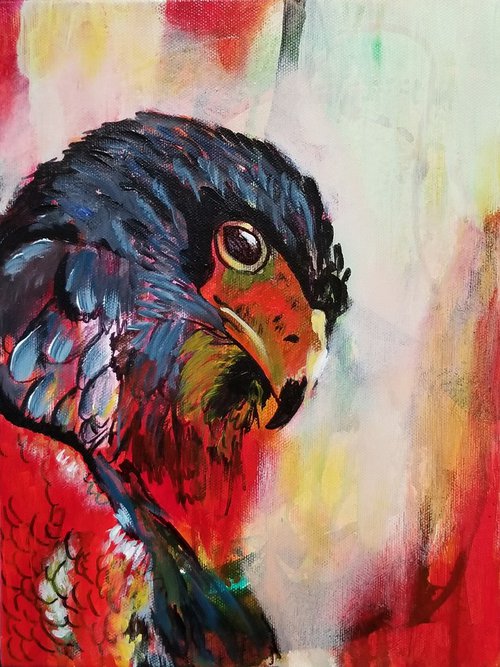Bald Eagle by Niyati Jiwani