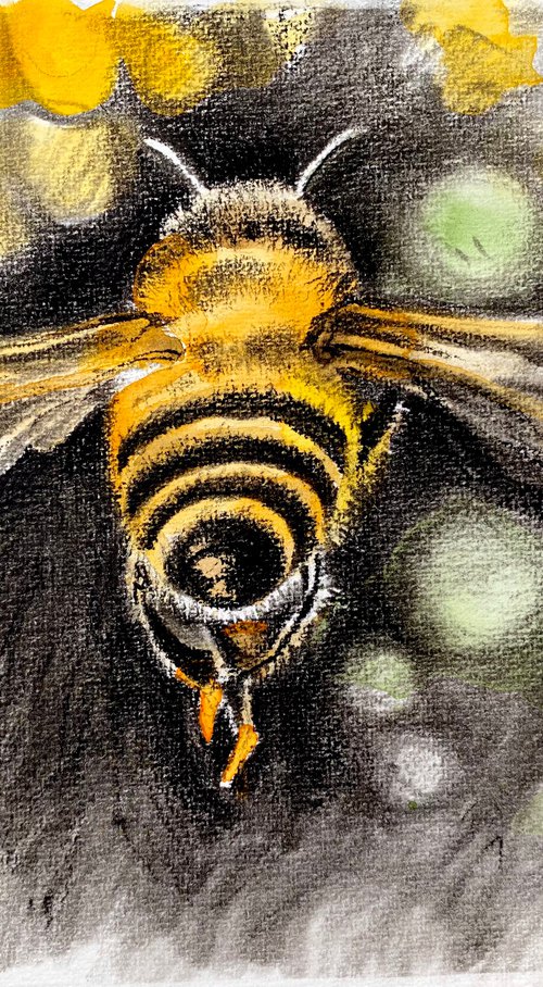 Charcoal Honey Bee by Luci Power