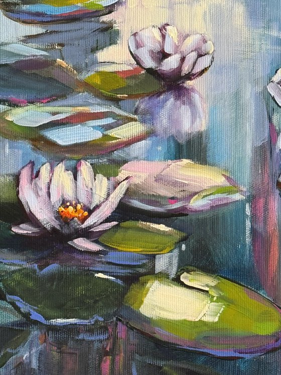 Light & Water Lilies 1