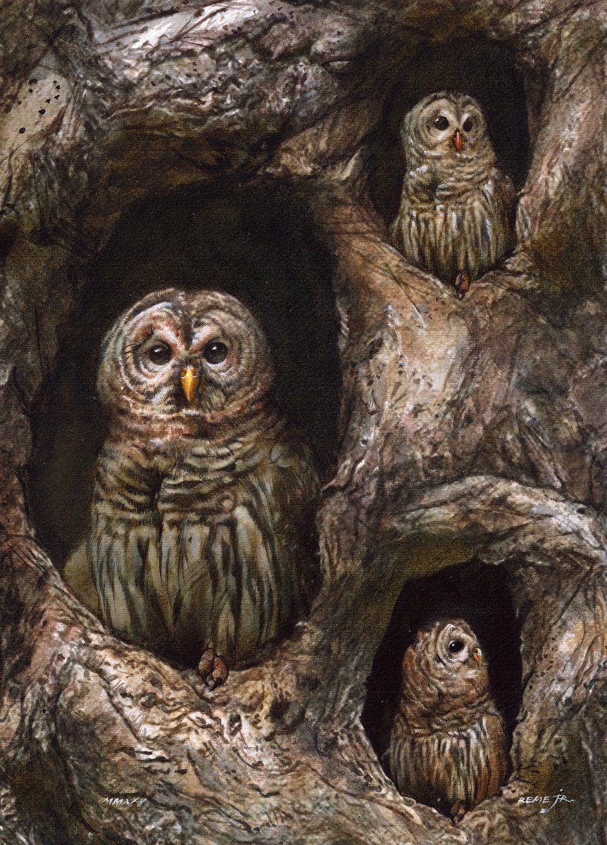 Impressionistic Watercolour , Owl