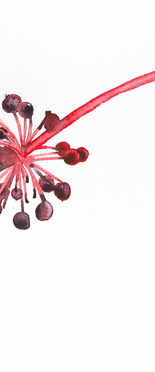 Umbrella leaf; Seeds series by Anna Belousova