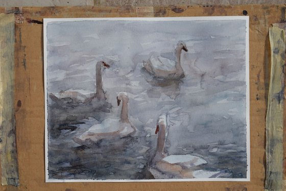 Swan lake