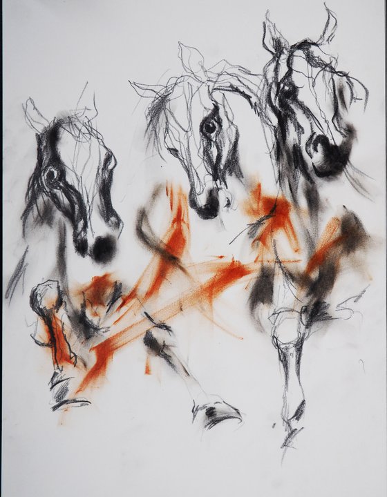 HORSES