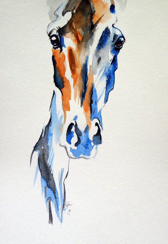 Horse portrait