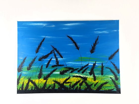 Sunrise in the grass