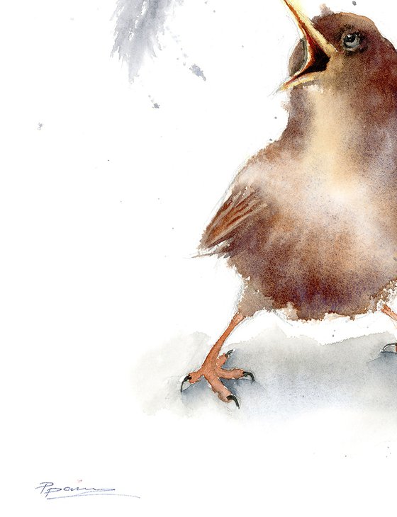 Birds And Feathers - triptych