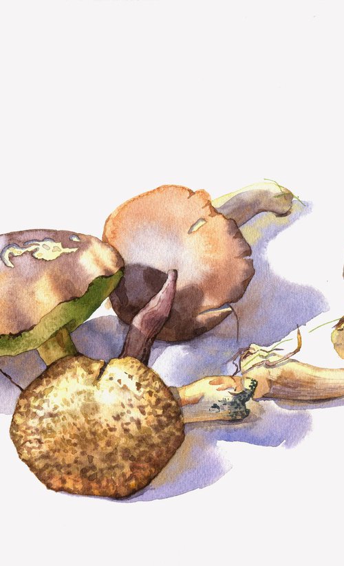 Ukrainian watercolour. Silent hunting. Mushrooms by Nina Zakharova