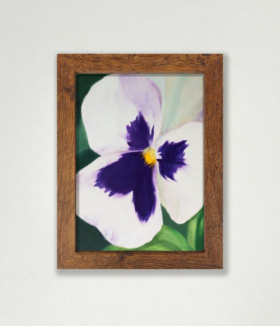 Viola 02
