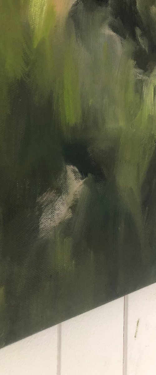 A Glimmer of Spring by Joanna Farrow