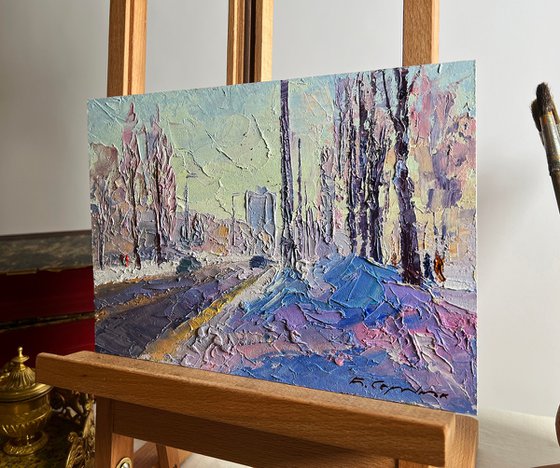 After the Night Snowstorm