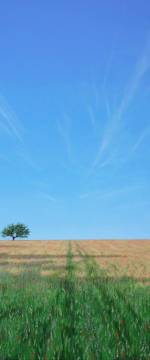 Summer by Nigel Wood