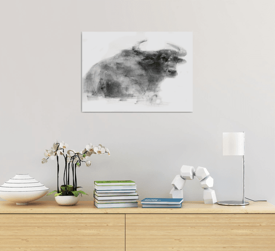 Water Buffalo 1
