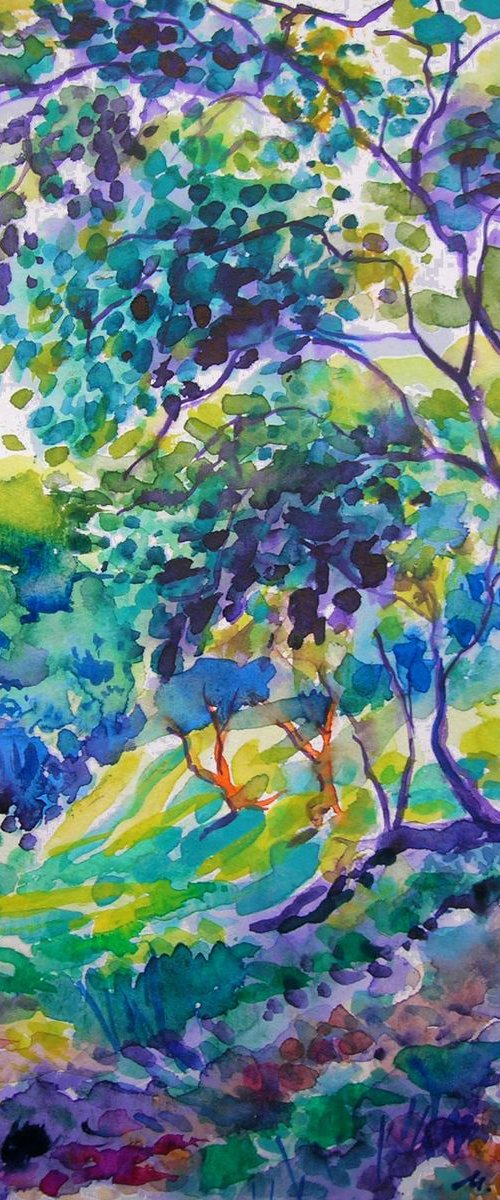 Old olive orchard VII by Maja Grecic