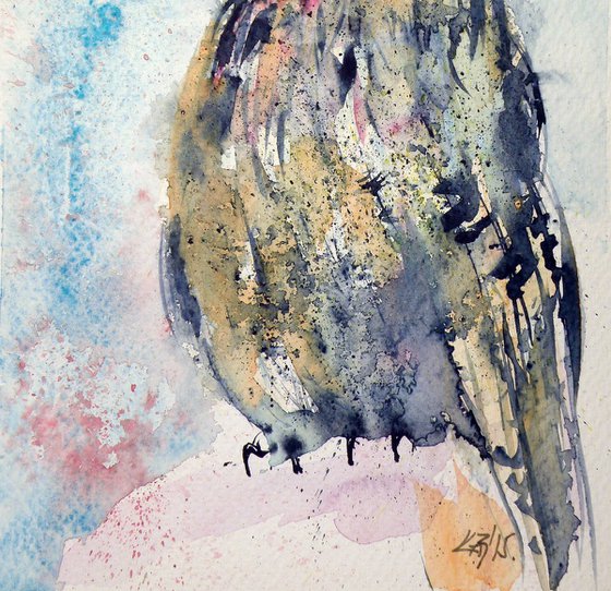 Owl II.