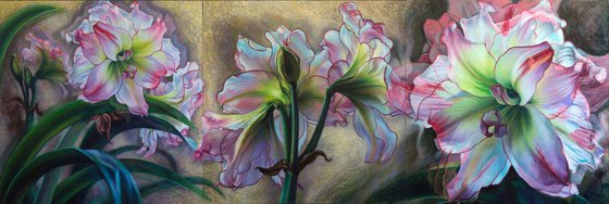 Pink Amaryllis Triptych